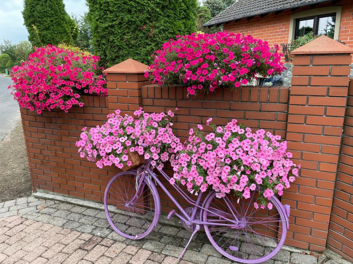 Hortus Apartament Z Klimatyzacja โบเลสวาเวียส ภายนอก รูปภาพ