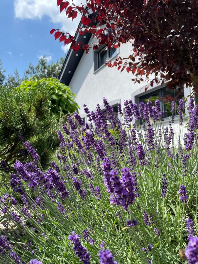 Hortus Apartament Z Klimatyzacja โบเลสวาเวียส ภายนอก รูปภาพ