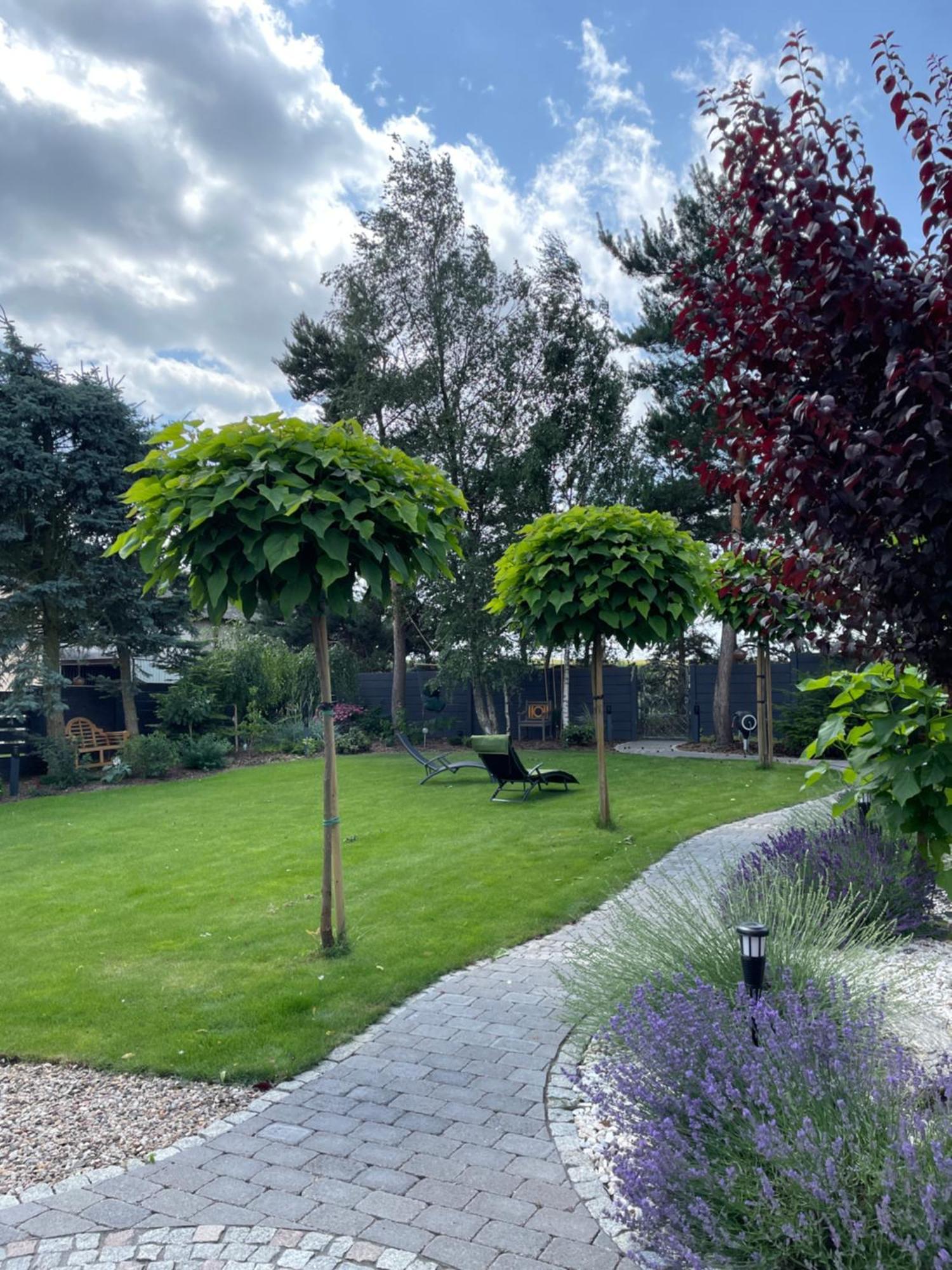 Hortus Apartament Z Klimatyzacja โบเลสวาเวียส ภายนอก รูปภาพ