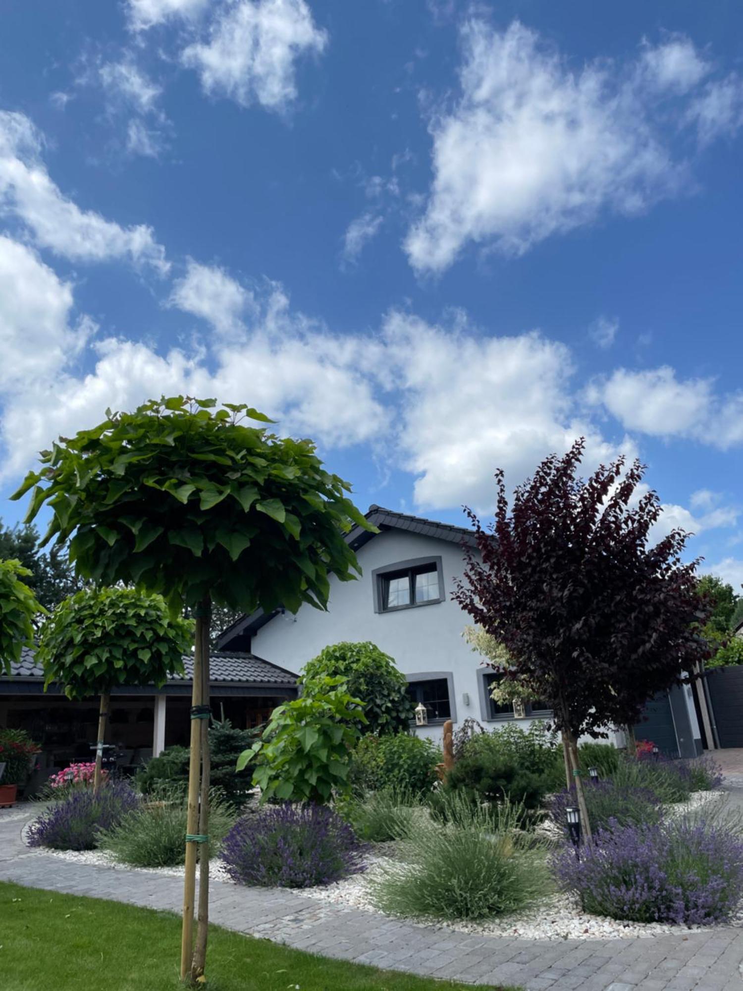 Hortus Apartament Z Klimatyzacja โบเลสวาเวียส ภายนอก รูปภาพ